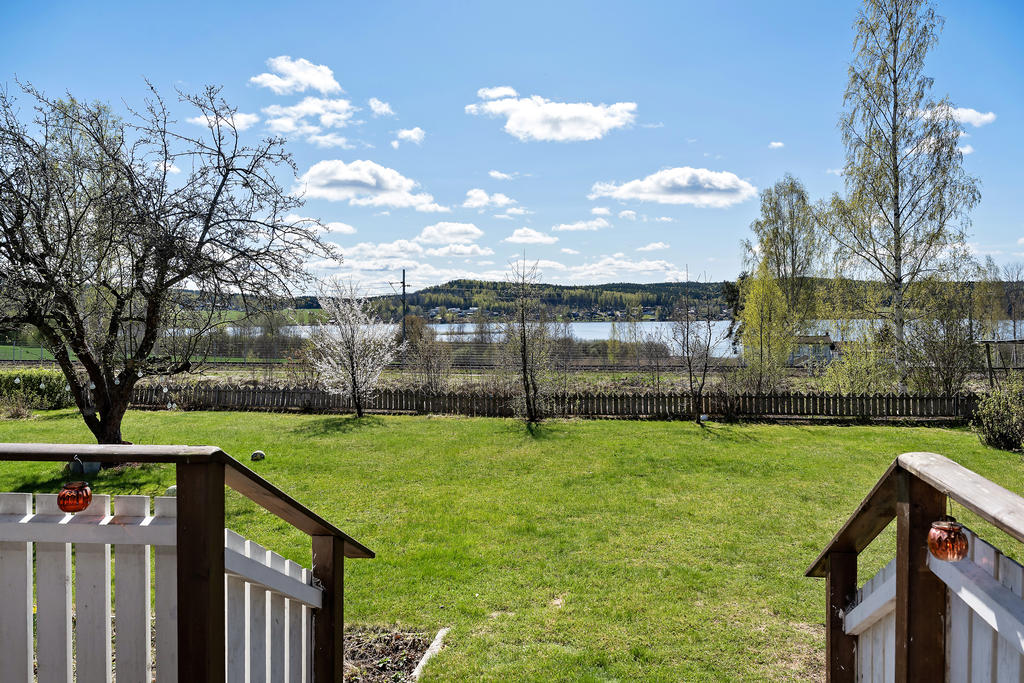 Trädgård