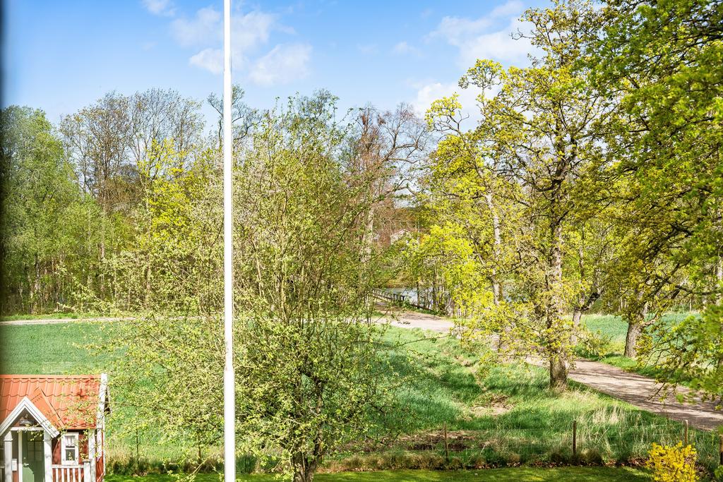 Härlig grönska runtomkring 