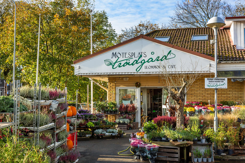 Mötesplats Trädgård, Mysigt café och blomsterhandel
