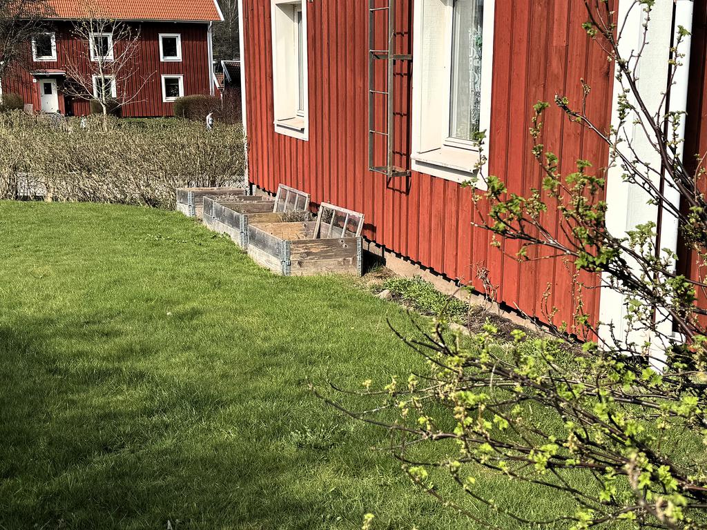 Vill man odla går det bra att göra vid gaveln av huset