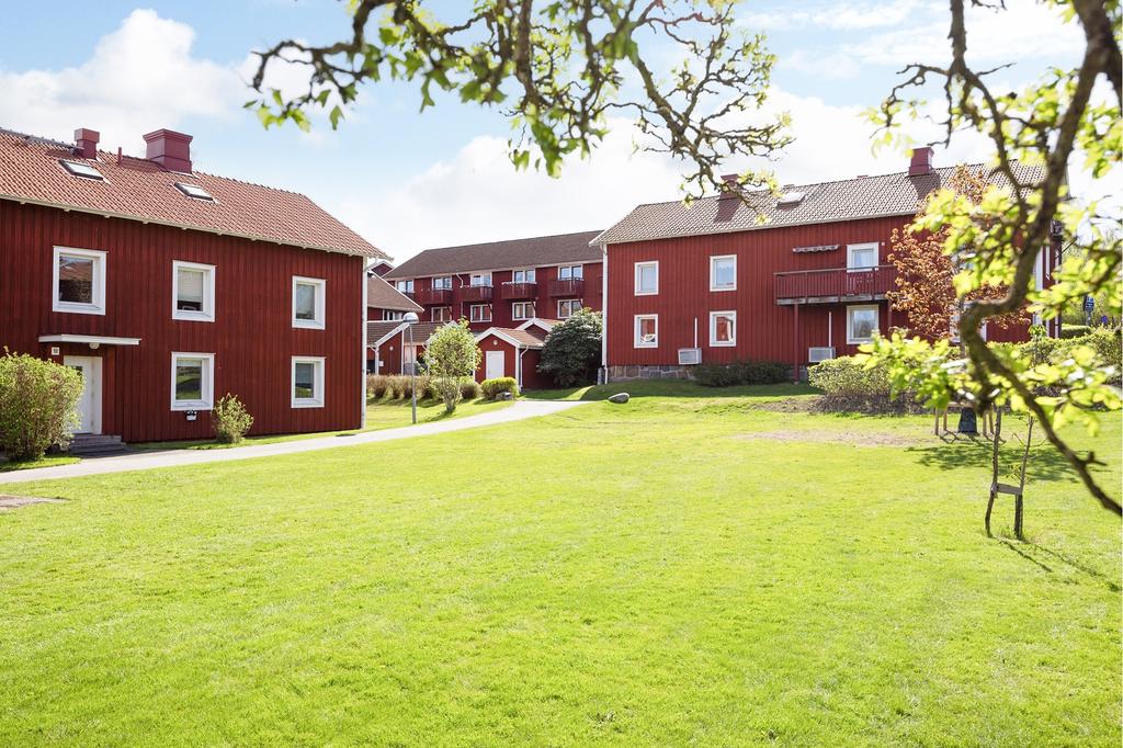Härliga gräsytor för barnens lek