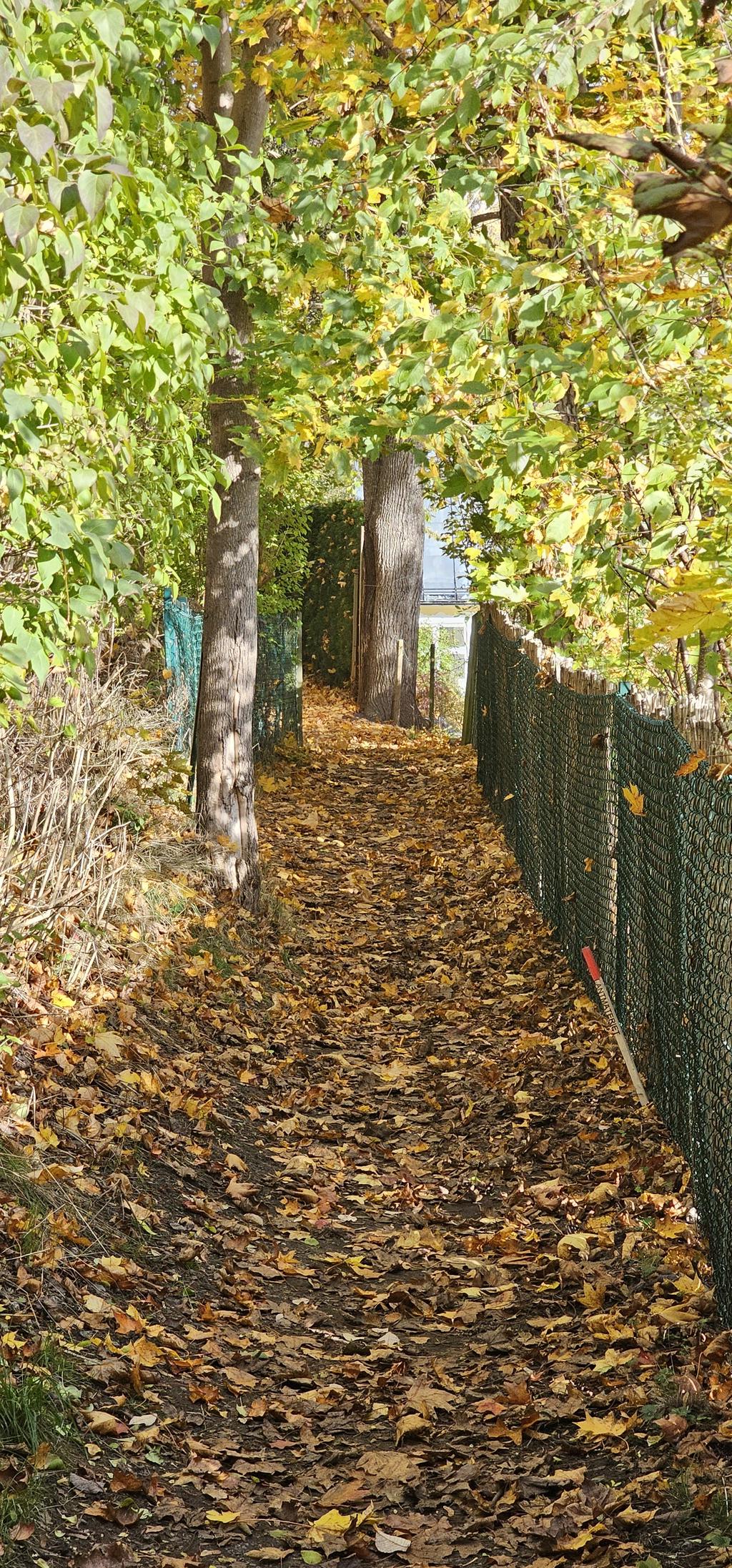 Privat bild promenadstråk