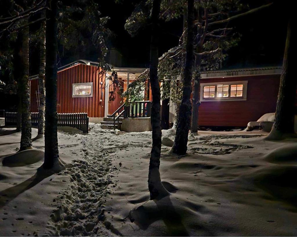 Säljarens vinterbild från nyårsafton!