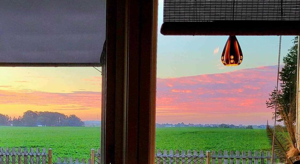 Säljarens egen bild på utsikten från köket & altanen mot baksidan
