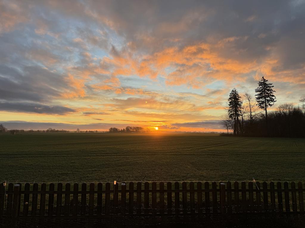 Säljarens egen bild på utsikten från köket & altanen mot baksidan