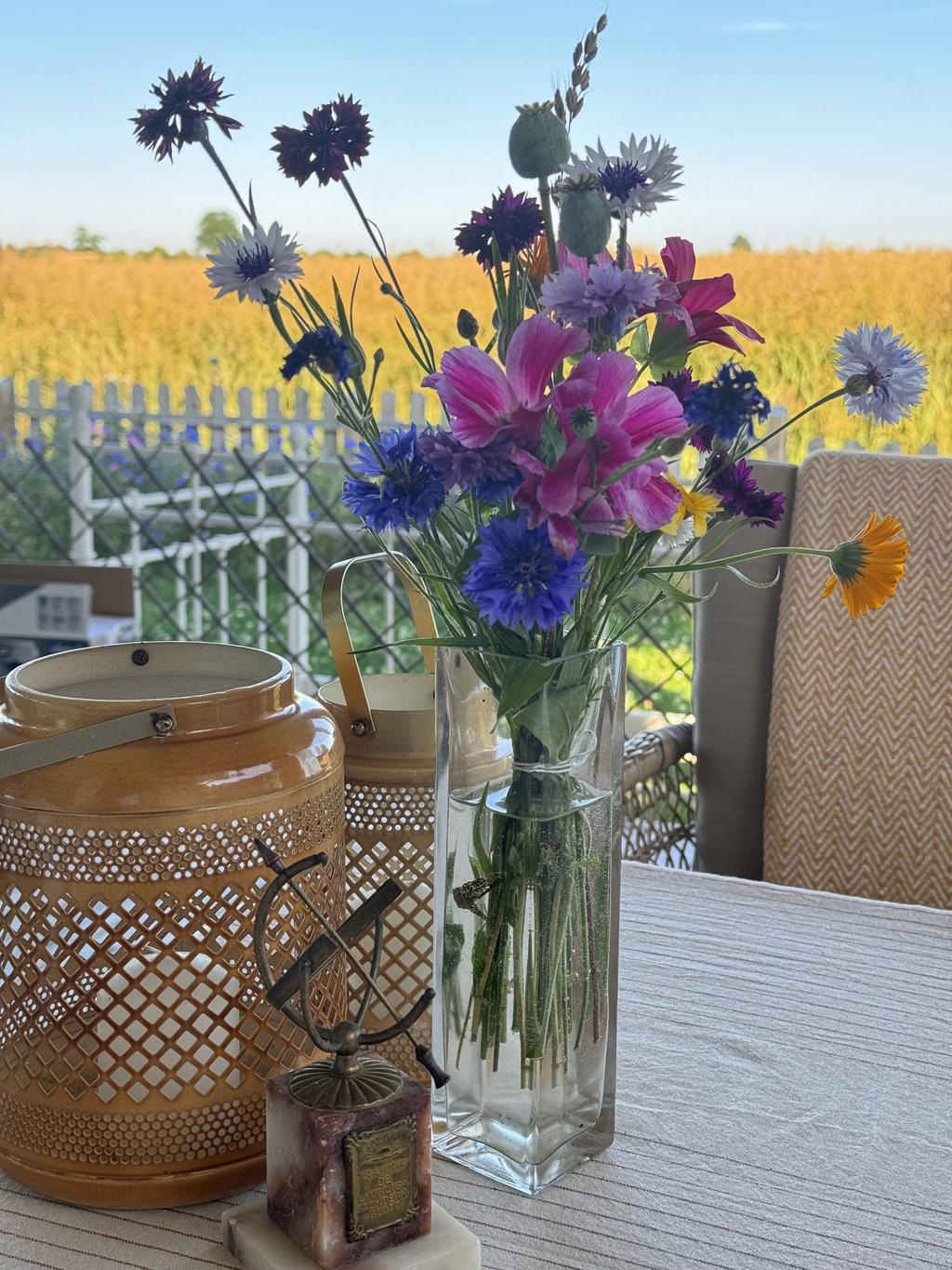 Blommande raps på fältet & nyplockade sommarblommor på uteplatsen