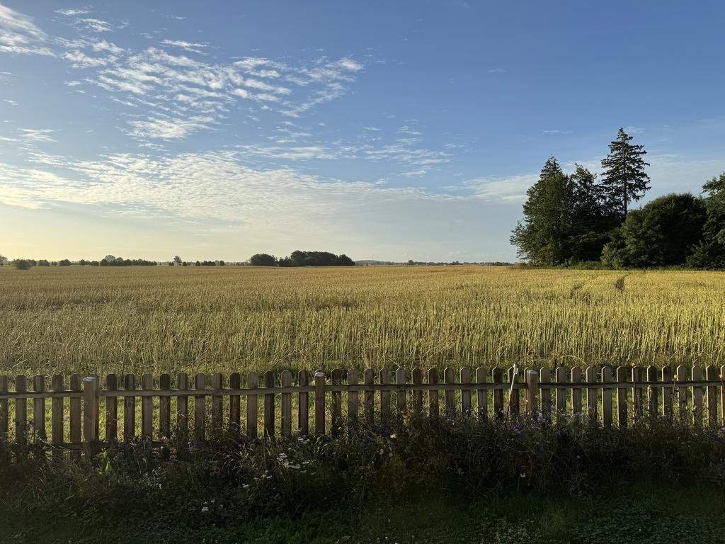 Säljarens egen bild på utsikten från köket & altanen mot baksidan