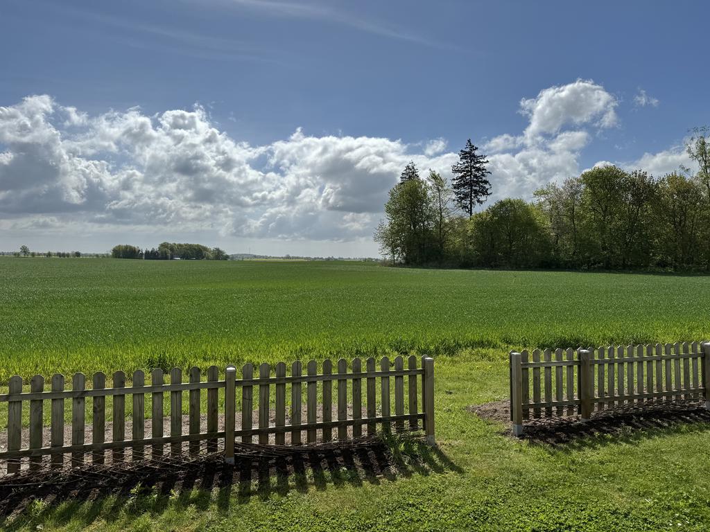 Säljarens egen bild på utsikten från köket & altanen mot baksidan