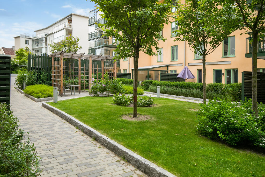 Härlig gemensam innergård med pergola