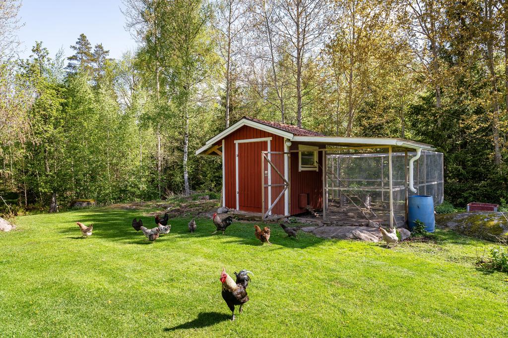 Här finns även möjlighet till att ha egna höns