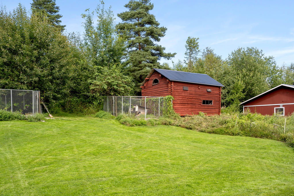 Trädgård.