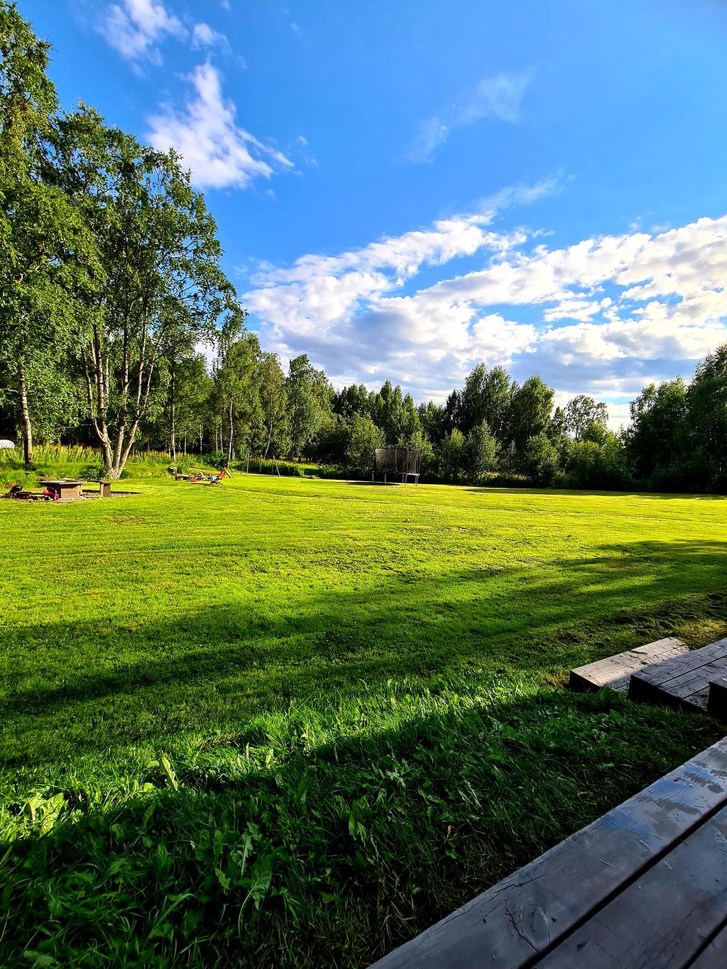 Säljarens sommarbild