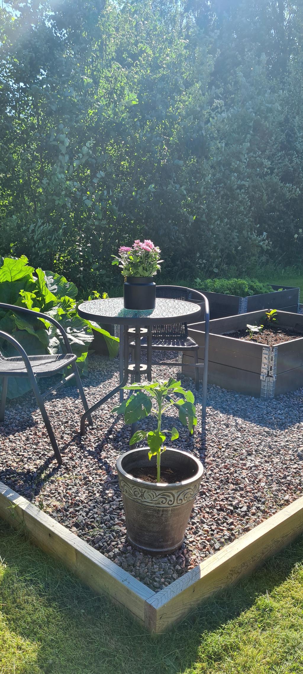 Säljarens sommarbild
