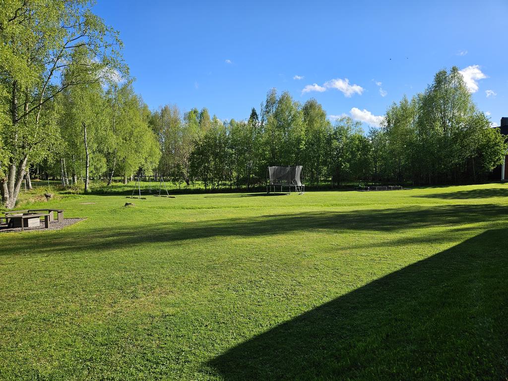 Säljarens sommarbild