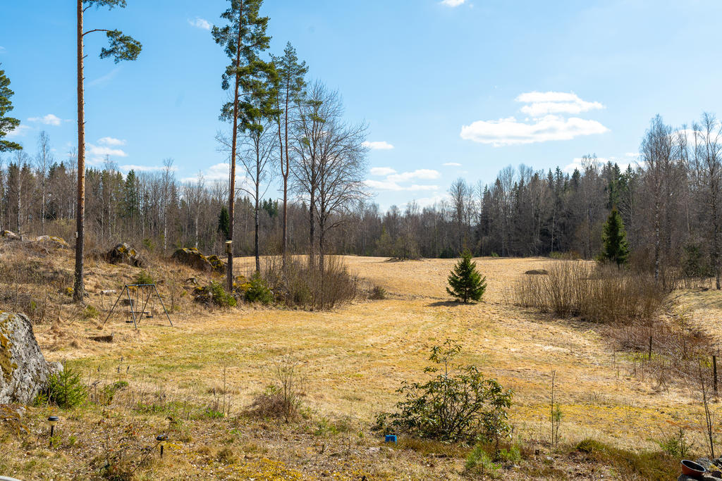 Utsikt från huset