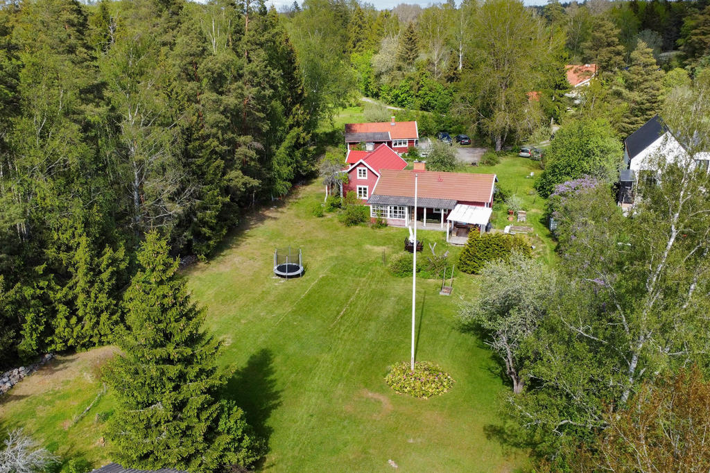 Stor och plan trädgård