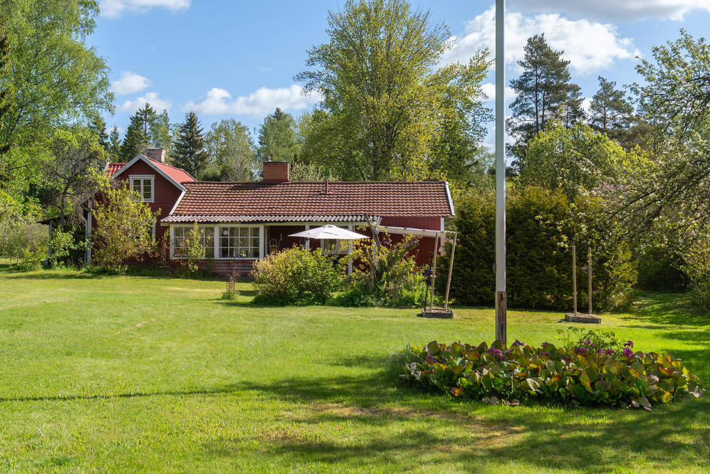 Grönskande trädgård