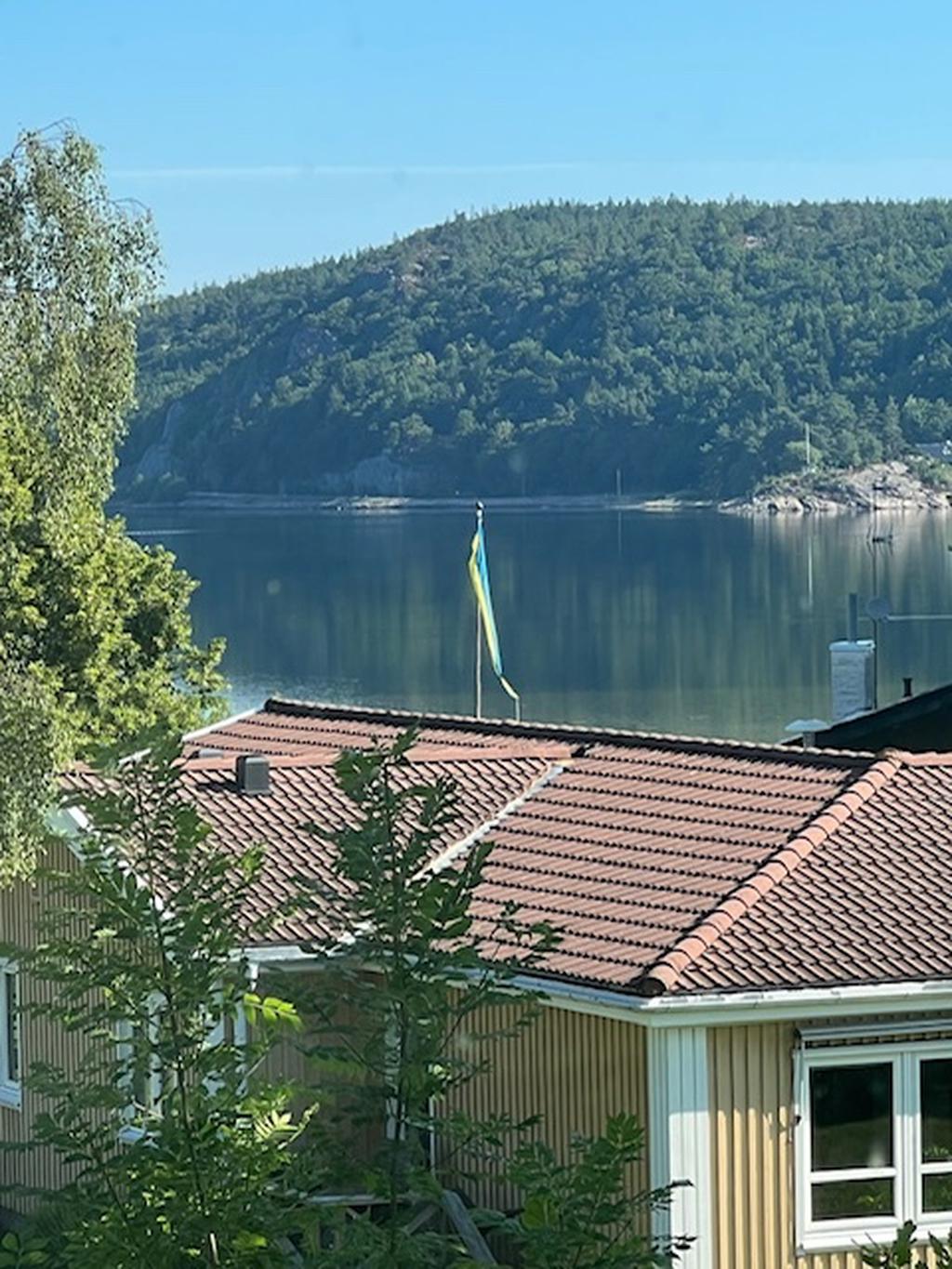 Säljarnas egna bilder