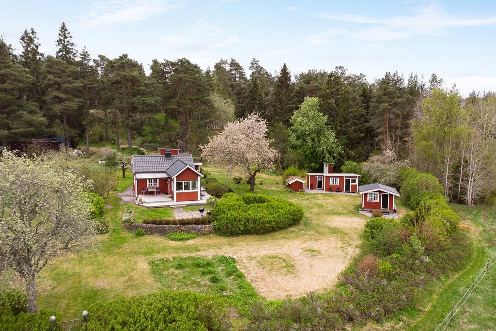 Rofylld fritidsdröm