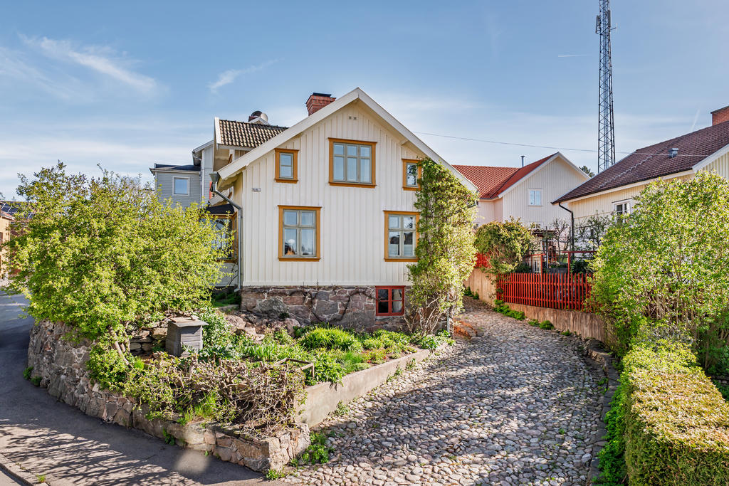 Vacker trädgård med fina rabatter