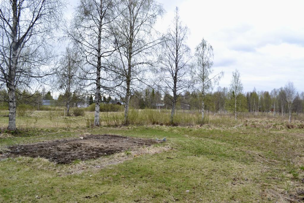 Gård, potatisland.