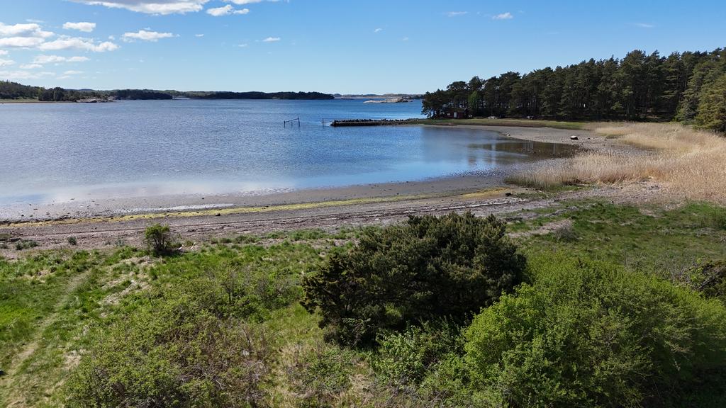 Miljöbild på området.