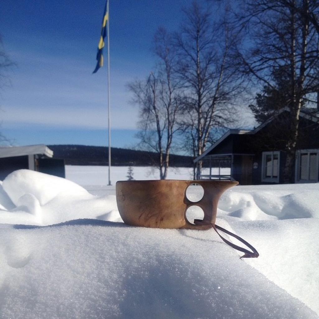 Säljarens egna bild