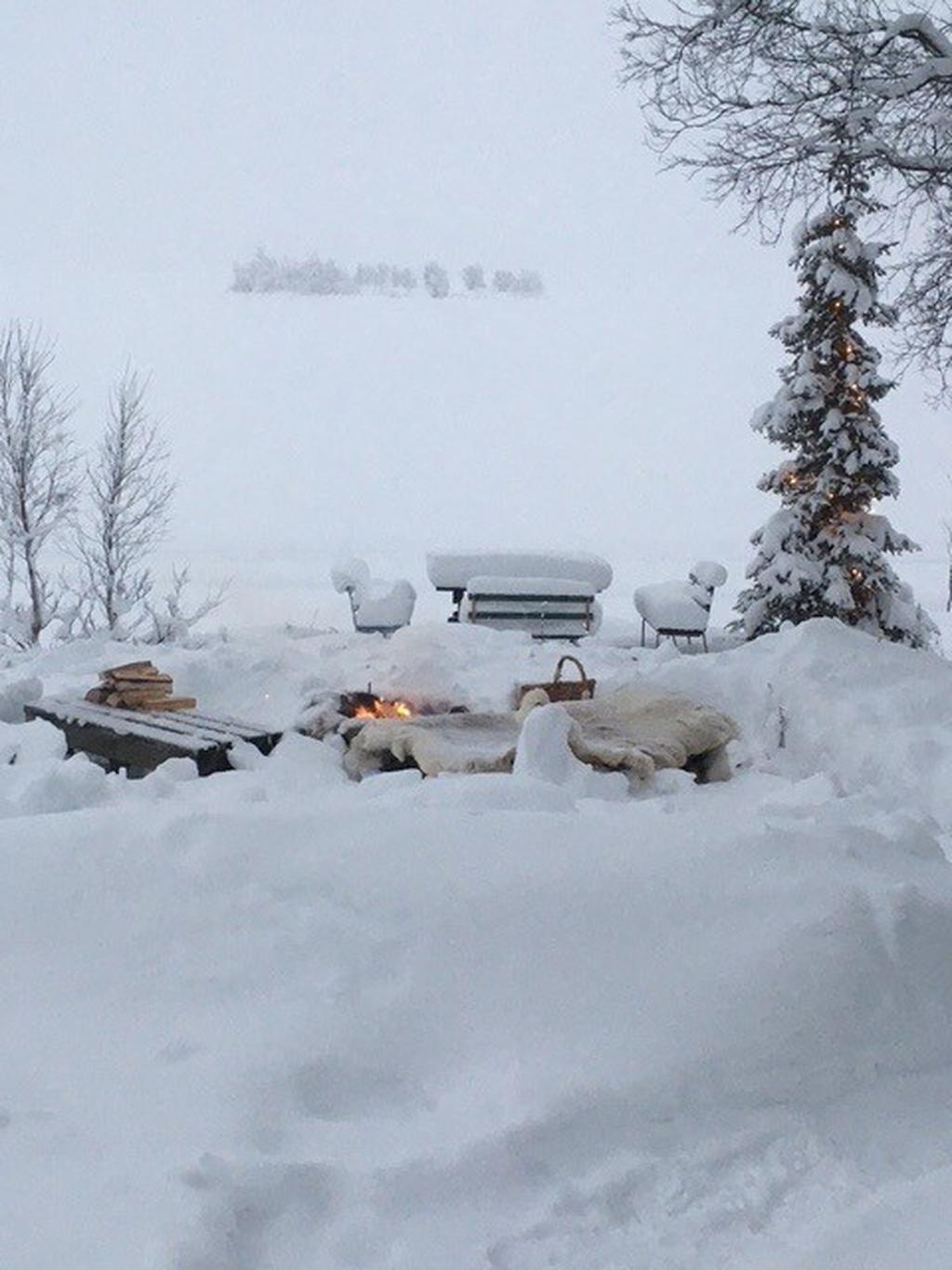 Säljarens egna bild