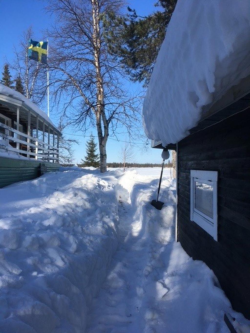 Säljarens egna bild