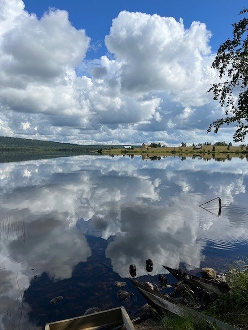 Säljarens egna bild