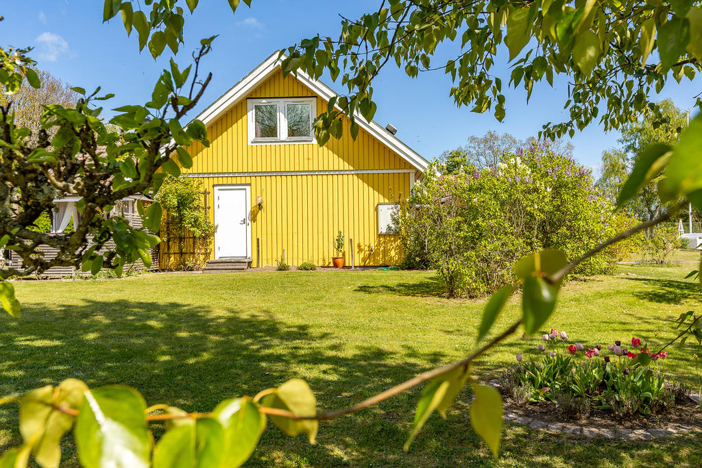 Mycket växtlighet