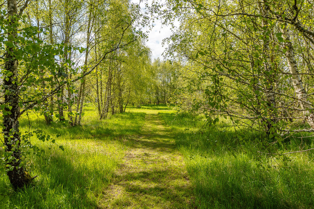 Rofyllda stigar nuvarande ägare anlagt