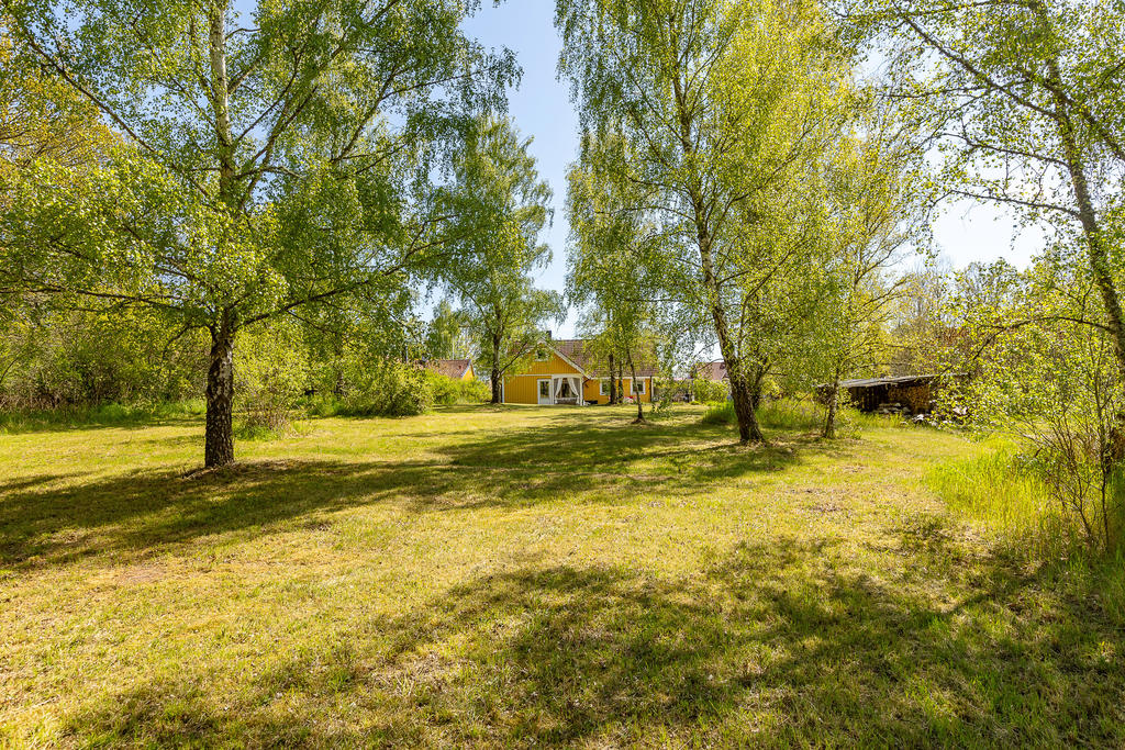 Välskött trädgård