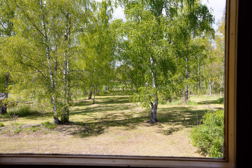 Med utsikt från bastun