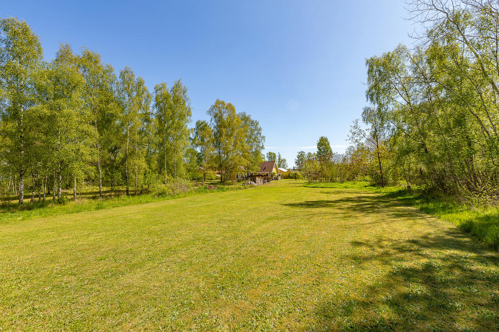 Rymlig trädgård - minst sagt