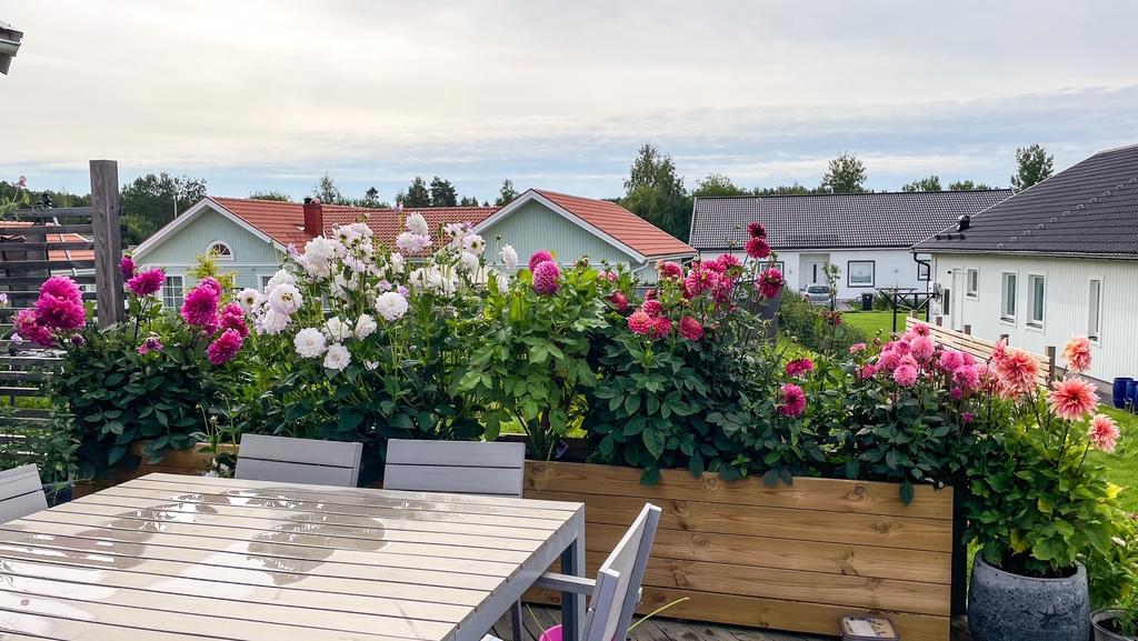 Säljarens egna bild