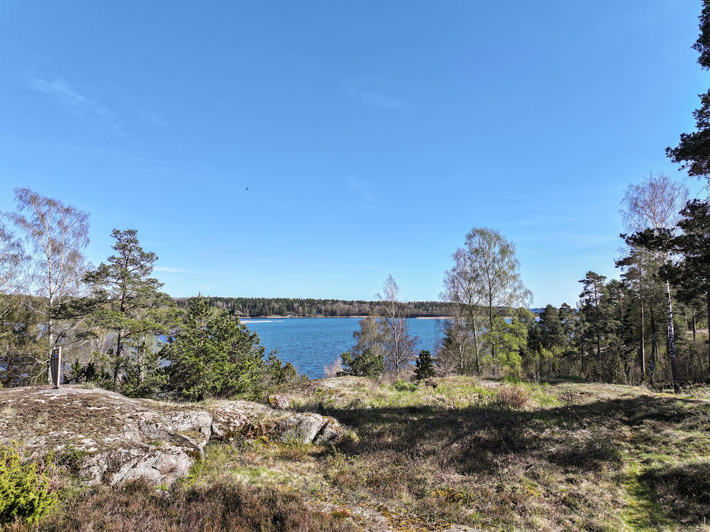Utsikt från uteplatsen