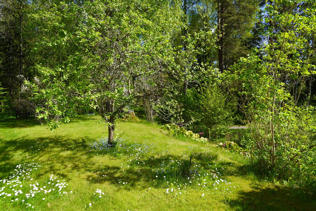 Säljarens bild