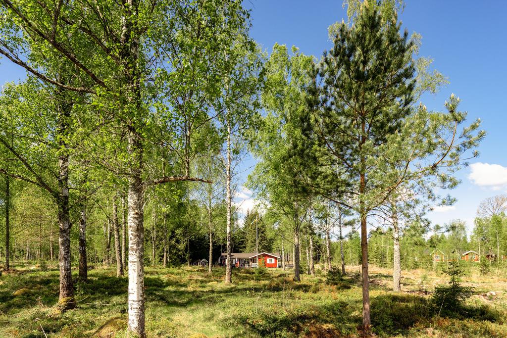 Lugnt och fridfullt