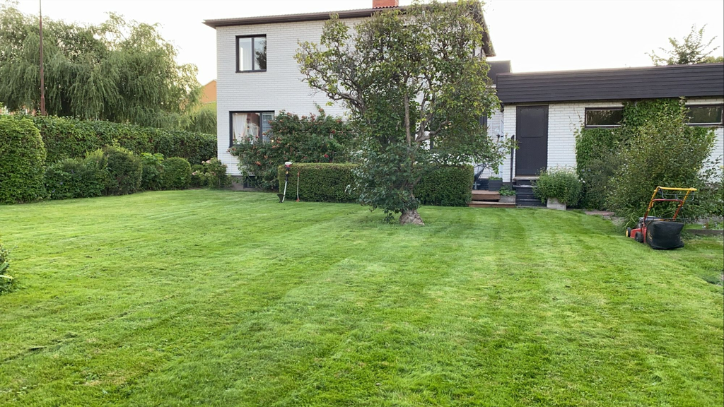 Baksidan (Säljarens egna bild)