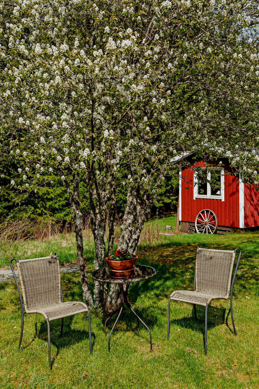 Härlig sittplats under trädet!