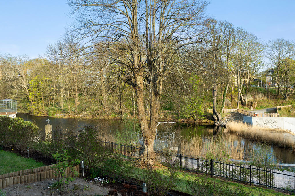 Utsikt över idylliska Lyckebyån 