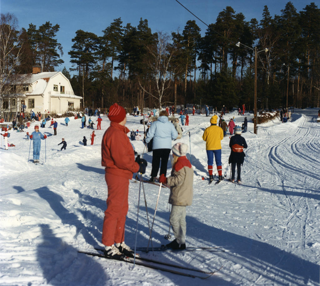 Flertalet längdspår i Ängsjö Friluftsområde 