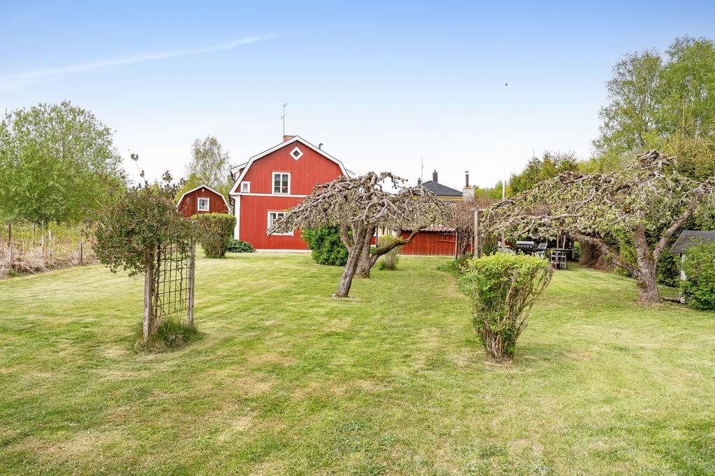 Fantastisk trädgård