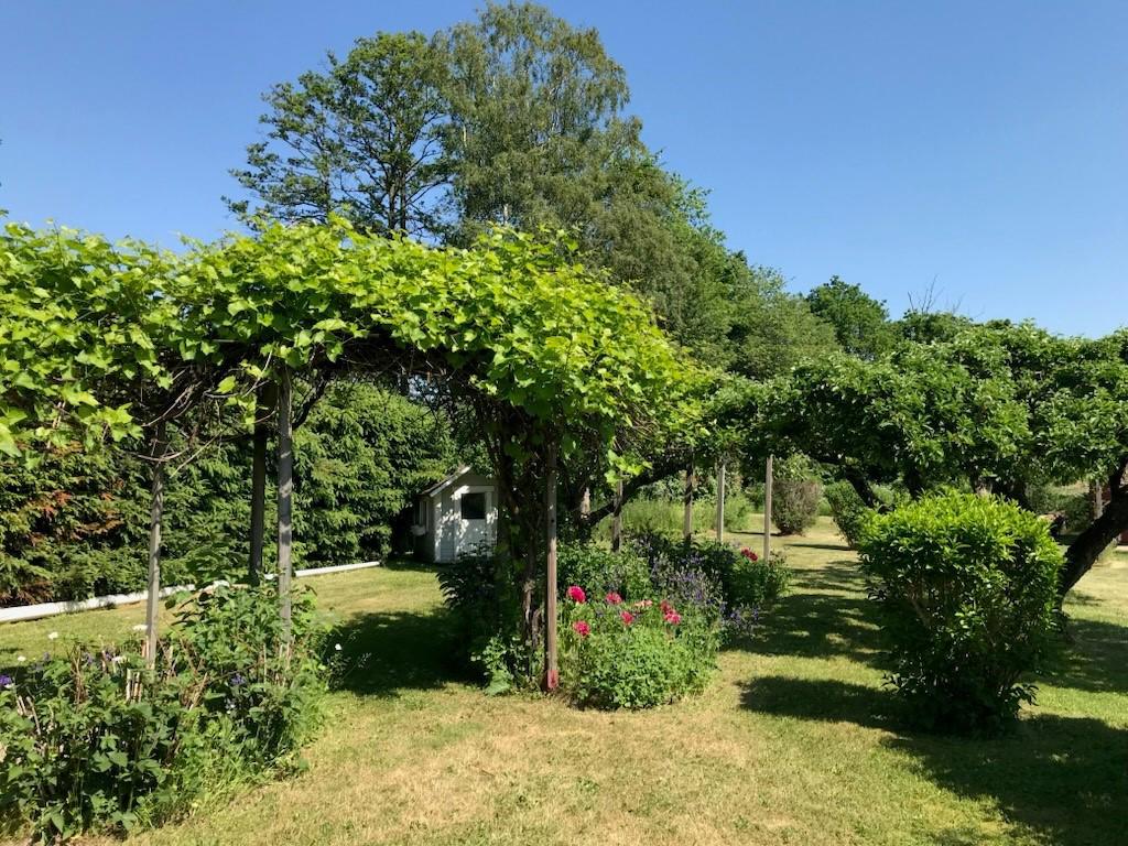Säljarens sommarbild