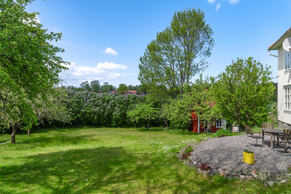 vy över trädgården
