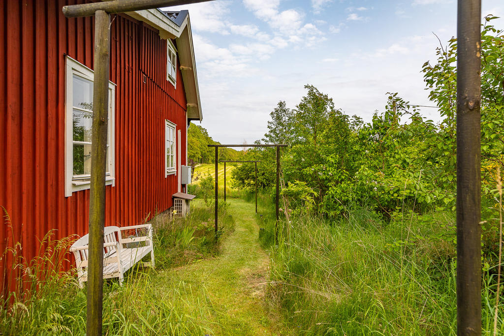 Uppklippt stig i söderläge