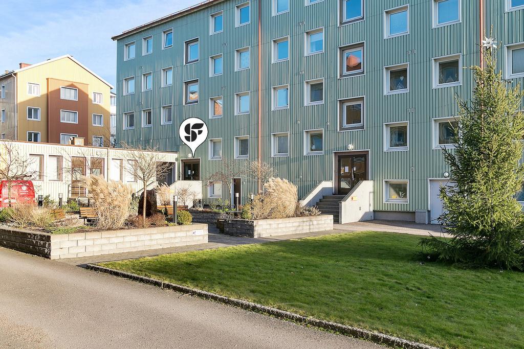 Förening med god ekonomi