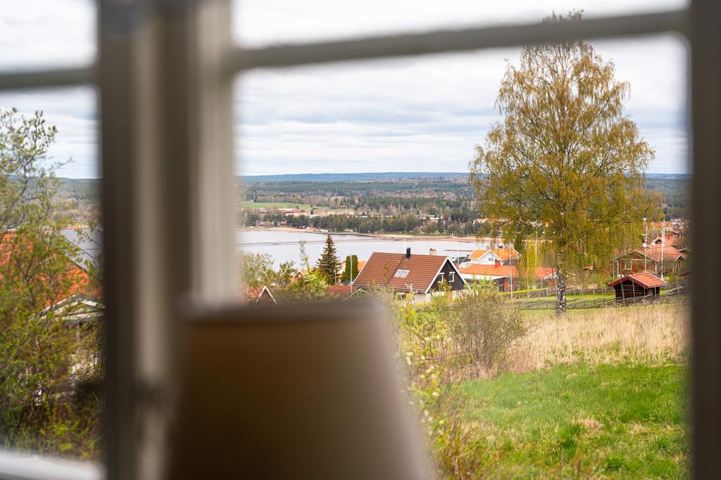 Vy från köket