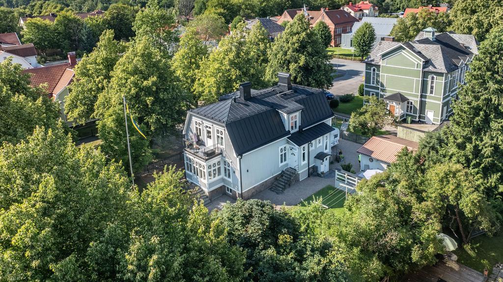 Översiktsbild med grönskande trädgård